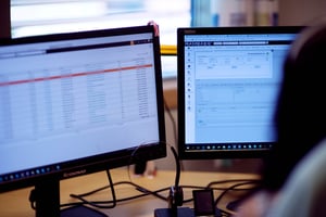 RamBase ERP screens
