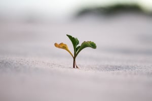 jeremy-bishop-74123-unsplash-2880x1920
